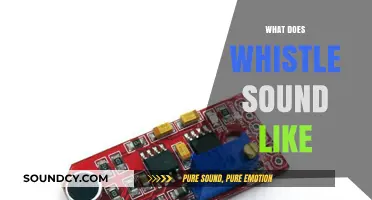 Unraveling the Unique Tone: What Does a Whistle Sound Like?