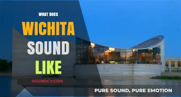Exploring Wichita's Unique Soundscape: A Sonic Journey Through the Heart of Kansas