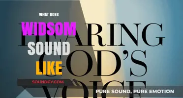 What Does Wisdom Sound Like? Exploring the Voice of True Insight