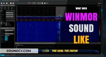 Exploring Winmor: Unveiling the Unique Sounds of This Digital Mode