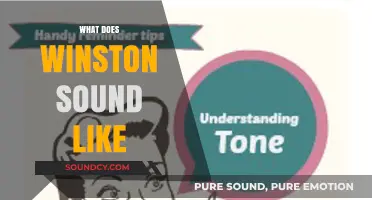 What Does Winston Sound Like? Exploring His Unique Voice and Tone