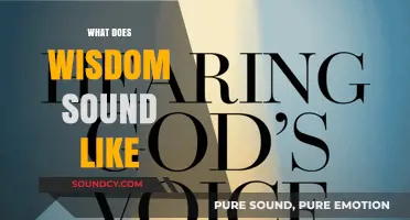 What Does Wisdom Sound Like? Exploring the Voice of True Insight
