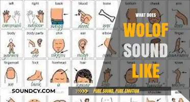 Exploring the Unique Rhythms and Melodies of Wolof Language Sounds