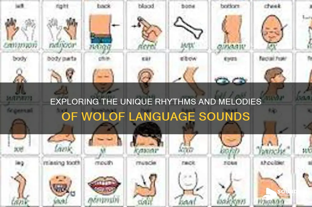 what does wolof sound like