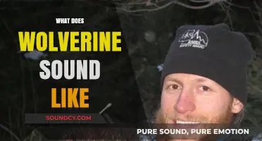Unveiling Wolverine's Growl: Exploring the Iconic Mutant's Distinctive Vocalizations