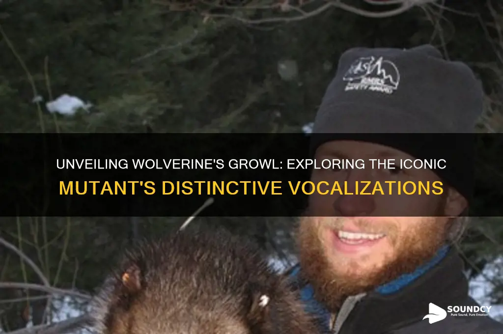 what does wolverine sound like