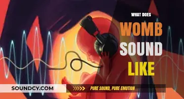 Exploring the Mysterious Sounds of the Womb: What Does It Sound Like?