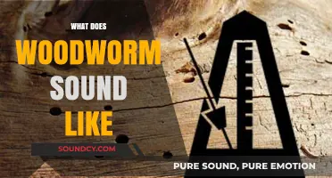 Uncovering the Mysterious Sounds of Woodworm: What to Listen For
