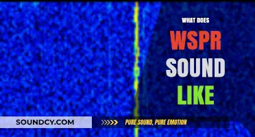 Unveiling WSPR: Decoding the Unique Sounds of Weak Signal Propagation