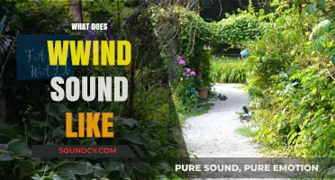 The Whispering Winds: Exploring the Unique Sounds of Nature's Breeze