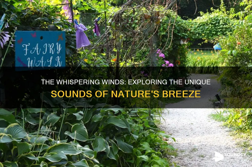 what does wwind sound like