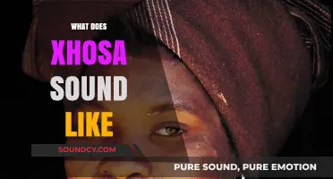 Exploring the Unique Rhythms and Tones of the Xhosa Language