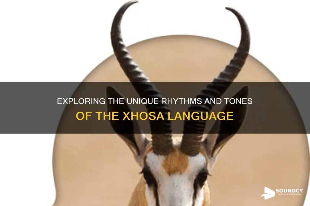 what does xhosa sound like