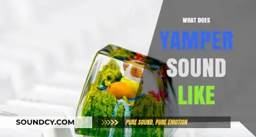 What Does Yamper Sound Like? Exploring the Adorable Pokémon's Unique Cry