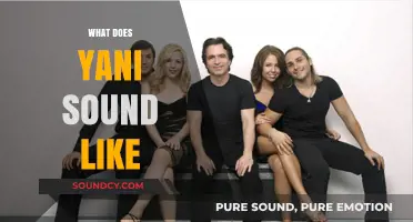 Exploring the Unique Vocal Style and Sound of Yani's Music