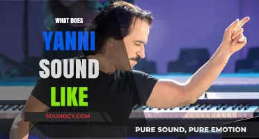 Unraveling Yanni's Signature Sound: A Journey Through His Musical Style