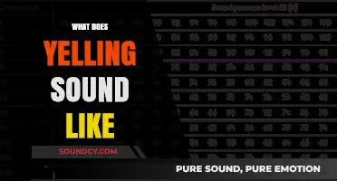 Decoding the Intensity: What Does Yelling Sound Like to You?