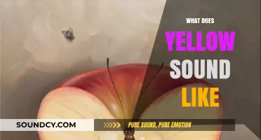 What Does Yellow Sound Like? Exploring Synesthesia's Colorful Melodies