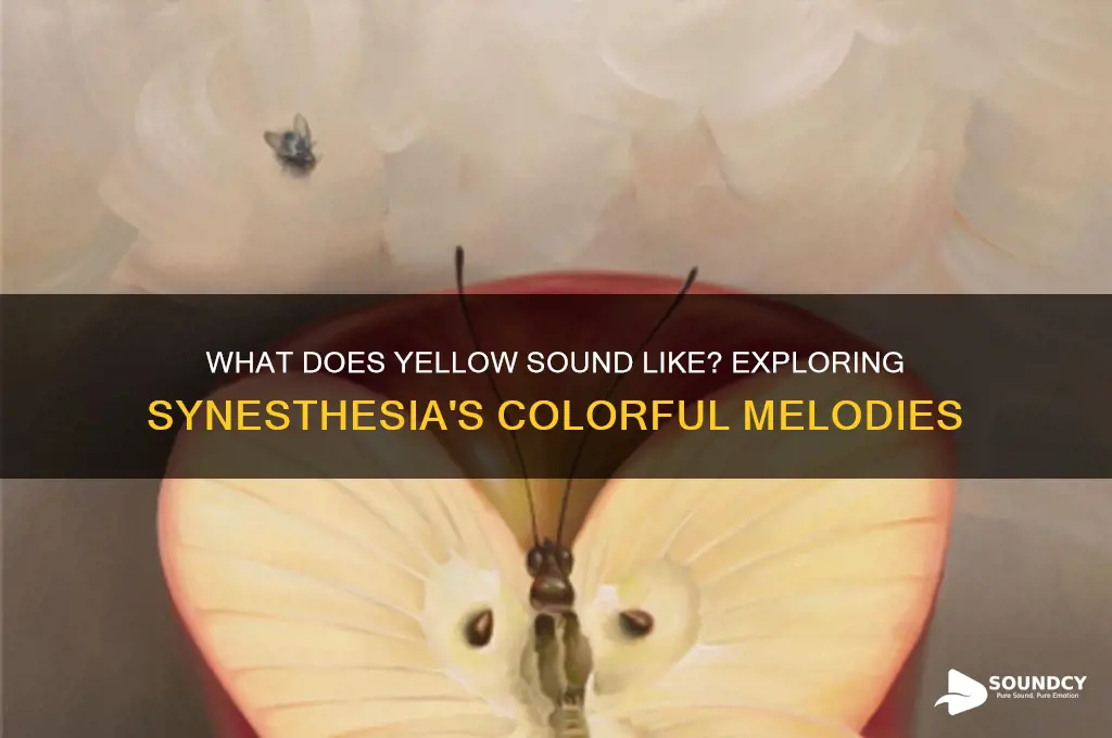 what does yellow sound like