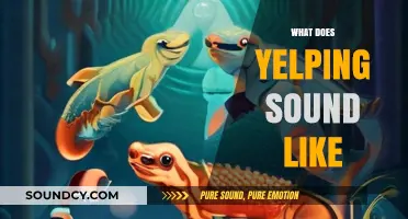 Understanding the Unique Sound of Yelping: A Comprehensive Guide