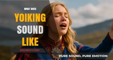 Exploring the Mystical Sounds of Yoiking: A Unique Vocal Tradition