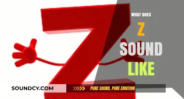 Exploring the Unique Sound of the Letter Z in Language and Speech