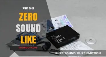 Exploring the Silence: What Does Zero Sound Like?