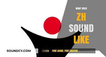 Unraveling the Unique Pronunciation: What Does the 'Zh' Sound Like?