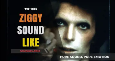 Unveiling Ziggy's Unique Sound: A Sonic Exploration of His Music