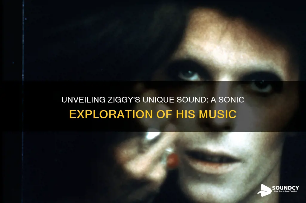 what does ziggy sound like