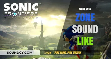 Exploring the Sonic Identity: What Does a Zone Sound Like?