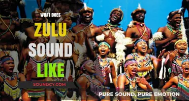 Exploring the Unique Sounds and Rhythms of the Zulu Language