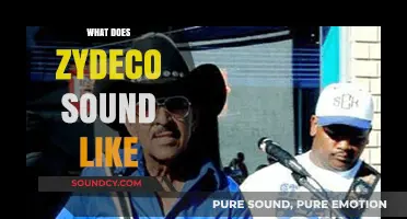 Exploring Zydeco's Unique Blend: Accordions, Rhythm, and Soulful Vibes