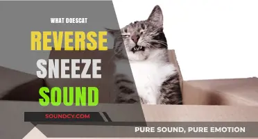 Understanding the Curious Sound of a Cat's Reverse Sneeze
