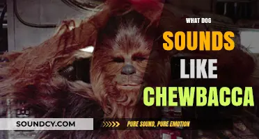 Dogs That Sound Like Chewbacca: Uncovering the Wookiee-Like Barks