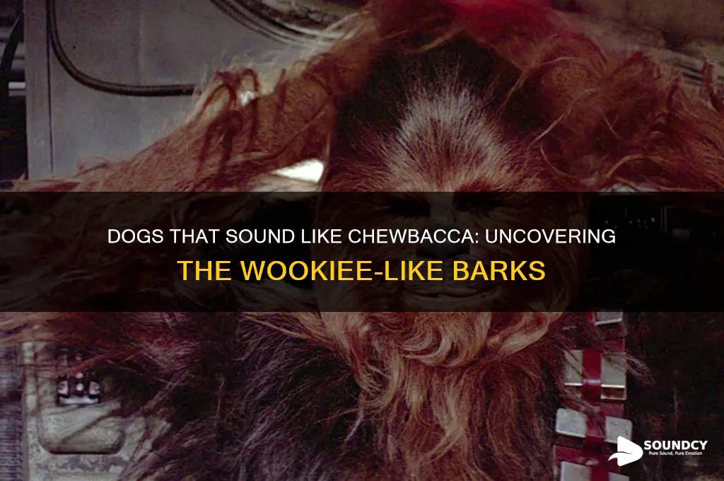 what dog sounds like chewbacca