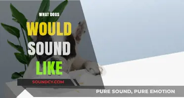 If Dogs Could Talk: Imagining Their Unique Voices and Sounds