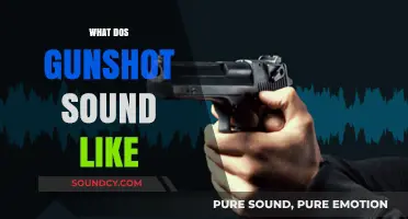Unveiling the Acoustic Reality: What Does a Gunshot Actually Sound Like?