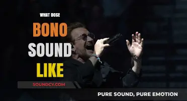 Exploring Bono's Unique Vocal Style: What Does He Really Sound Like?