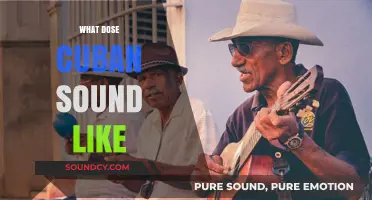 Exploring the Unique Rhythms and Accents of Cuban Spanish