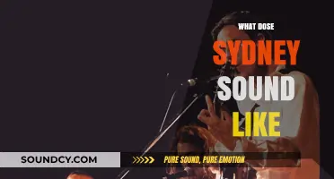 Sydney's Sonic Tapestry: Exploring the City's Unique Soundscape and Rhythms