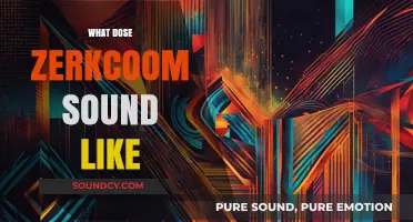 Unveiling the Unique Sonic Identity of Zerkcoom: What Does It Sound Like?