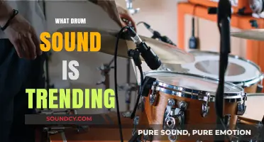 Discover the Hottest Drum Sounds Shaping Modern Music Trends