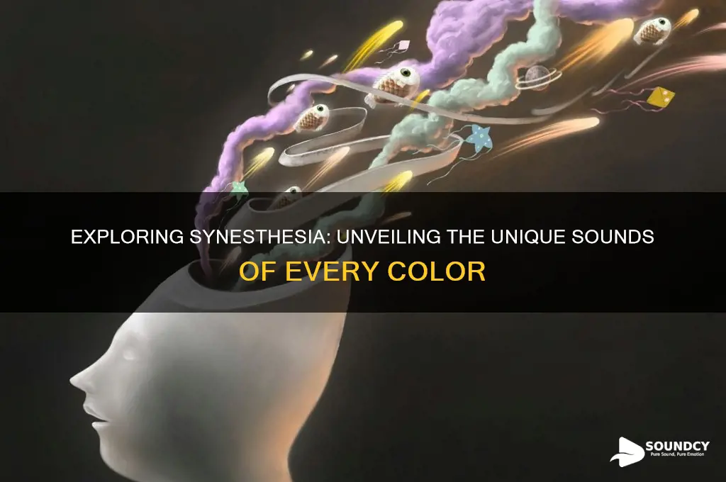 what each color sounds like