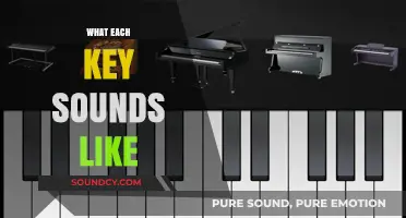 Exploring the Unique Sonic Signature of Each Piano Key