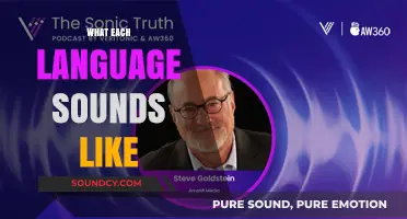 Exploring the Unique Sonic Identities of Languages Around the World