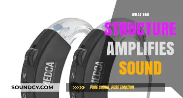 How the Ear's Complex Structure Amplifies Sound for Better Hearing