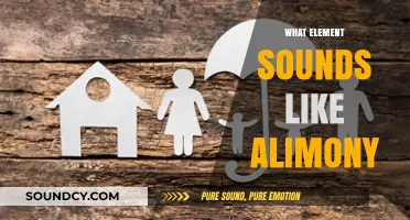 Unraveling the Element That Echoes Alimony: A Surprising Connection