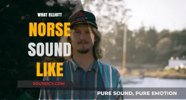 Unveiling the Unique Sonic Identity of Elliott Norse's Music