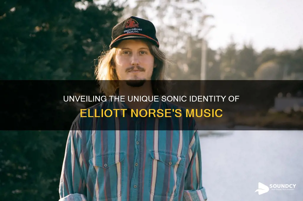 what elliott norse sound like